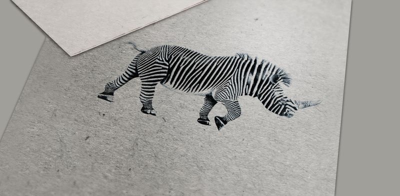 ALTAprod, Agence Web et de Communication globale à Aurillac Cantal assure la conception de support papiers, brochures, création de logos, impression de vos documents.