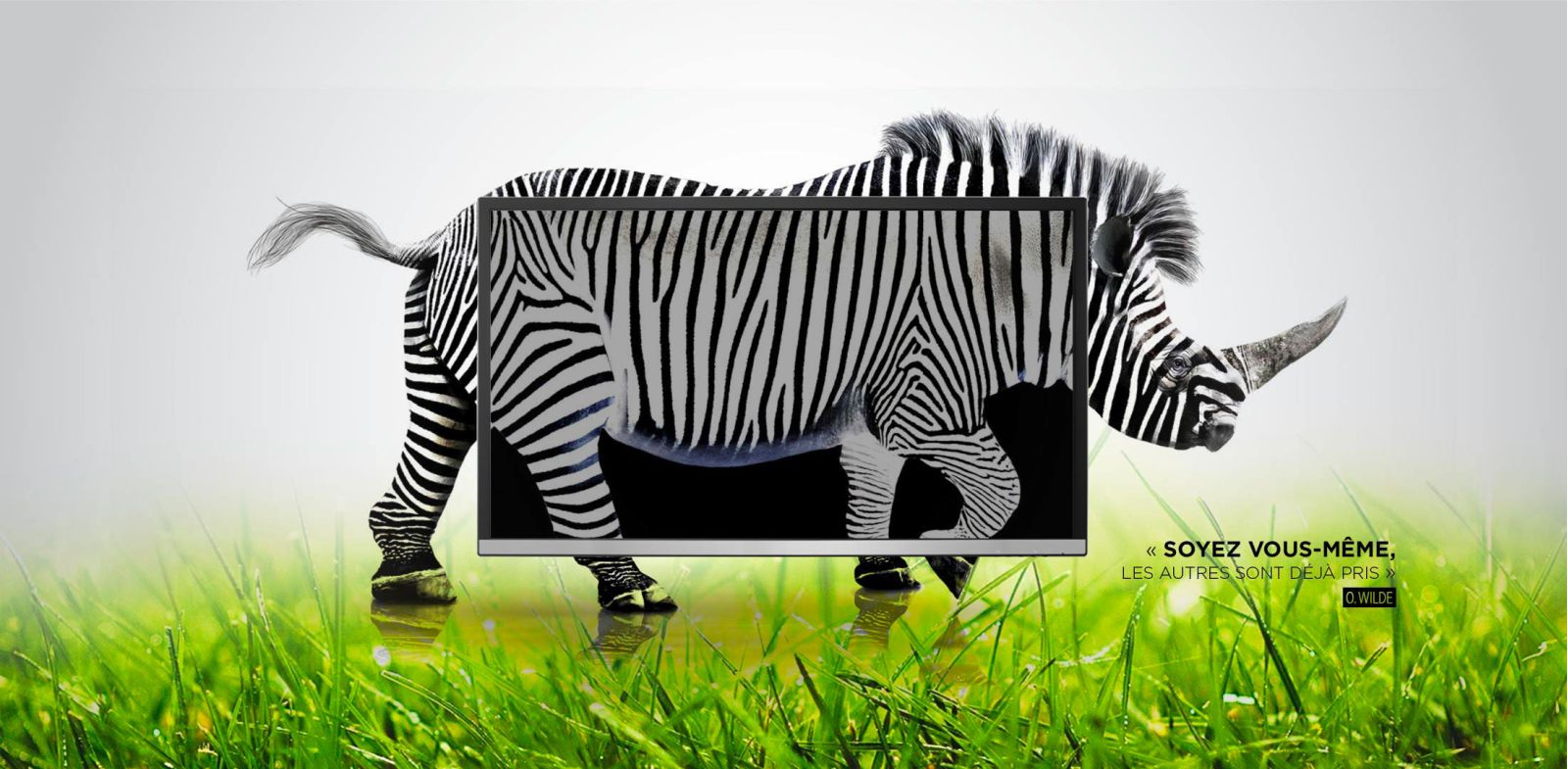 Référencement SEO sur Google : ALTAprod est le spécialiste dans le Cantal