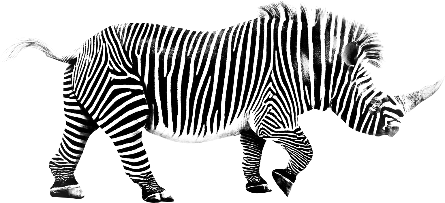 Rhino-zebre d'ALTAprod, Agence Web, création de site internet, et Communication globale à Aurillac dans le Cantal